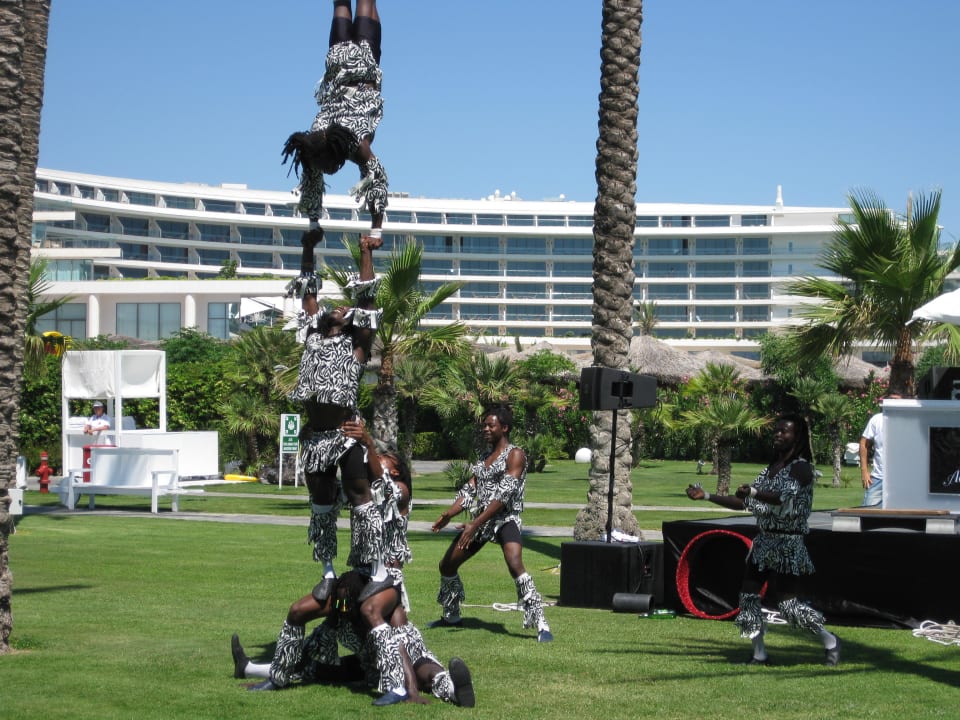 Unterhaltung mittags Adam & Eve - Adults only