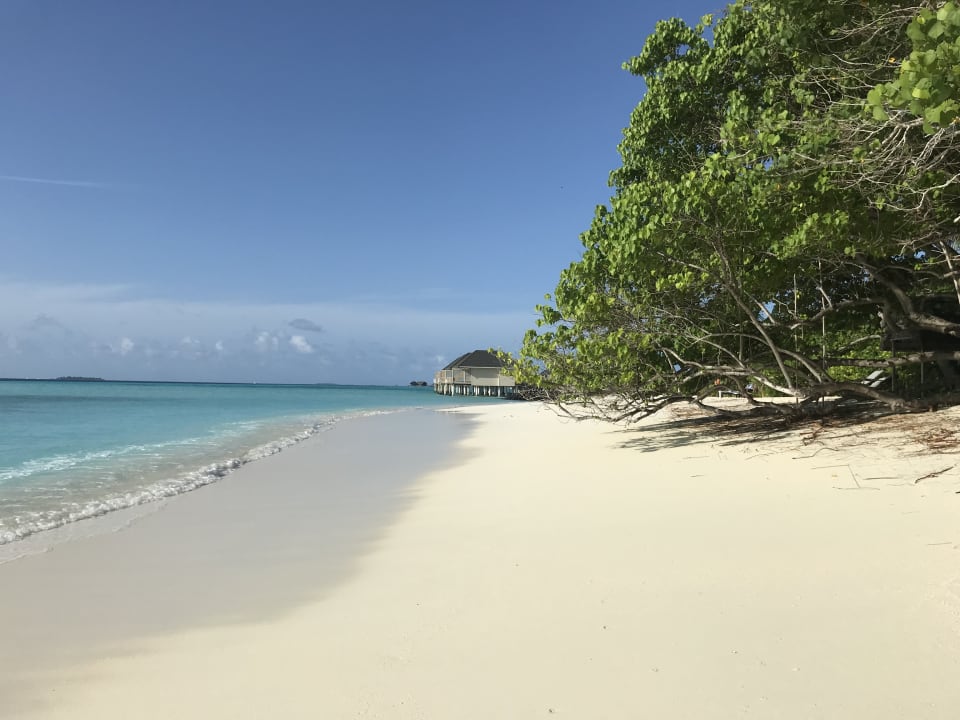 Strand Summer Island Maldives