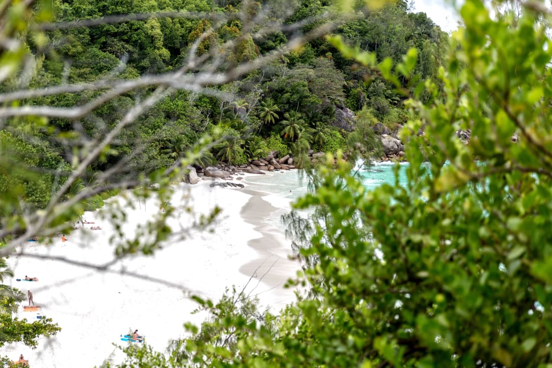 Anse Georgette Constance Lemuria