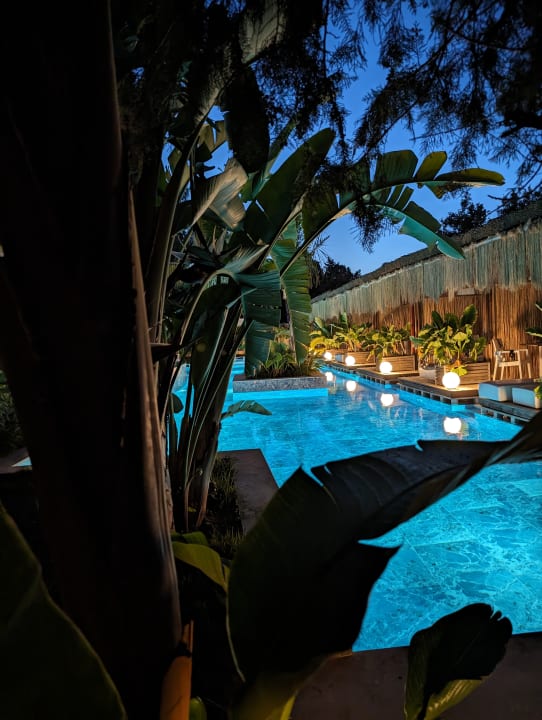 Zimmer Flora Garden Beach Hotel ( 16+ Adults Only )