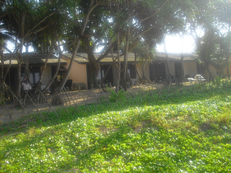 Hintere Aussicht Hotel Koggala Beach