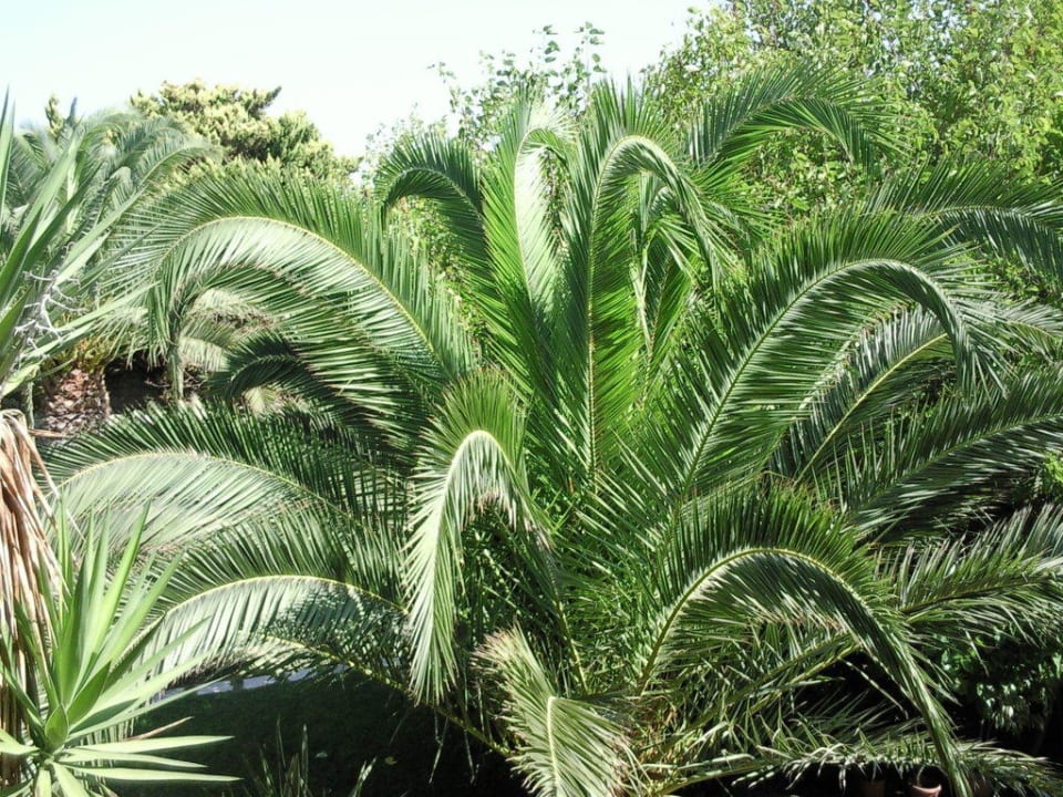Blick vom Balkon Gaia Garden Hotel