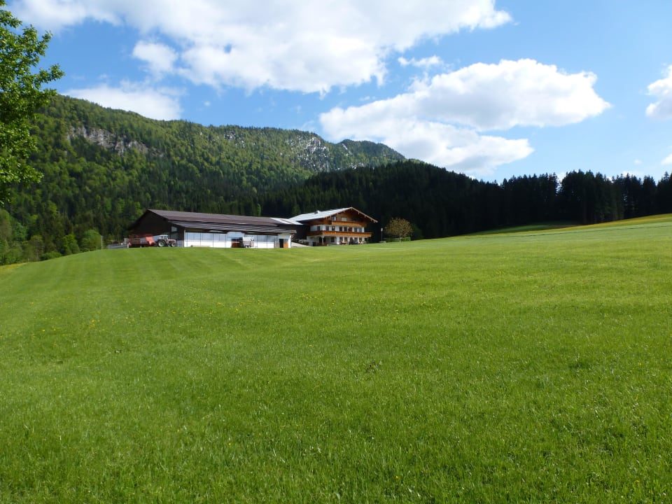 Blick vom Wanderweg nach Kössen auf das Haus Bio-Bauernhof Oberhochstätt
