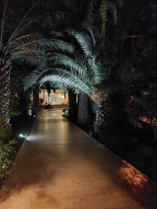 Gartenanlage Latanya Park Resort