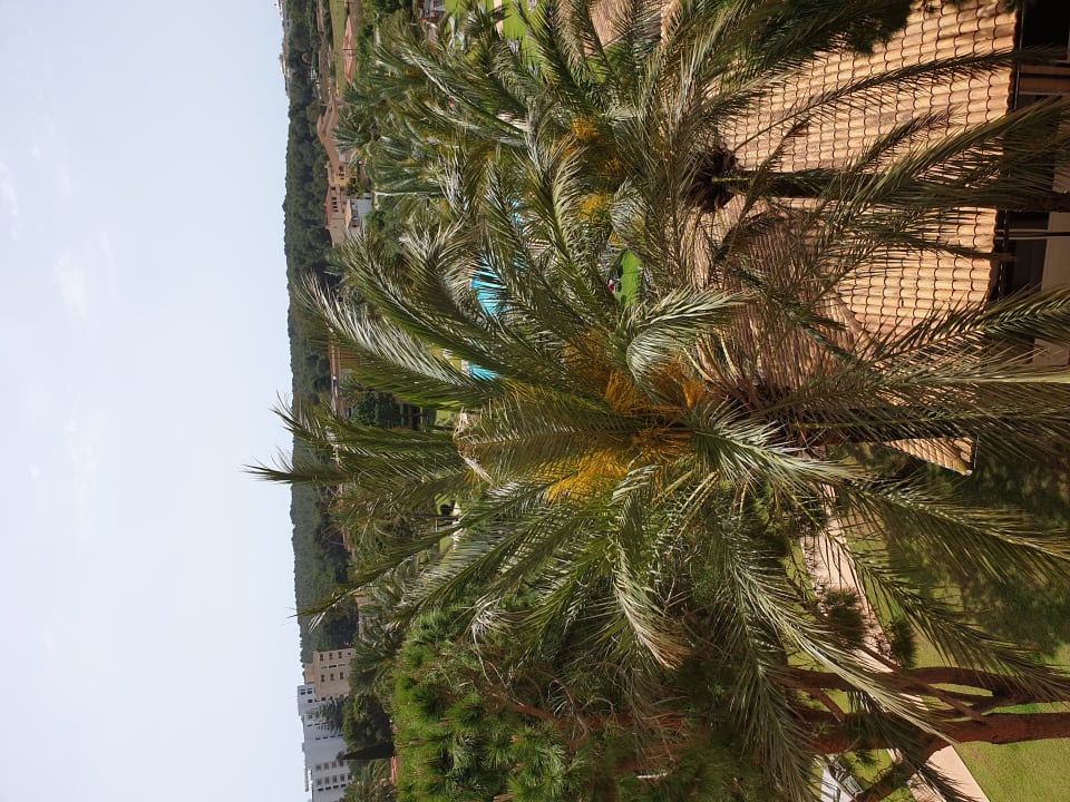 Außenansicht Hipotels Hipocampo Palace & Spa