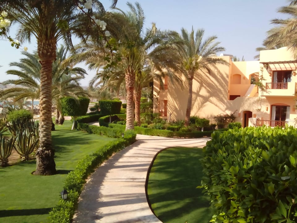 Weg zum Strand Steigenberger Coraya Beach - Adults only