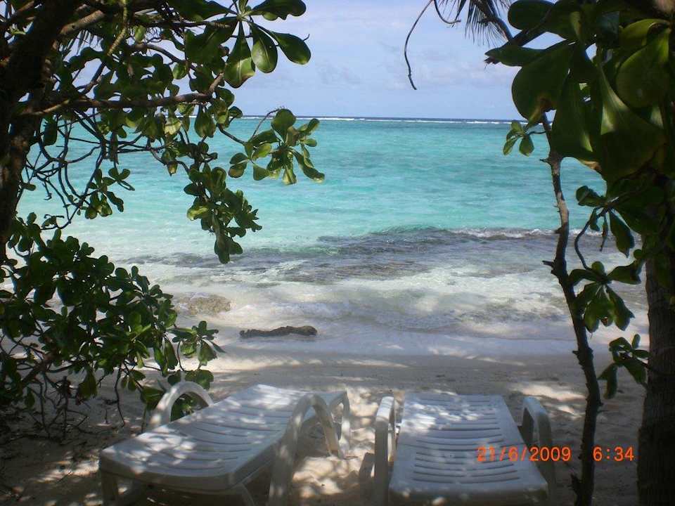Unser "eigener" Strand Summer Island Maldives
