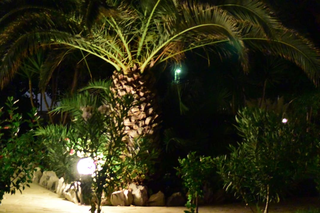 177 Lyttos Beach Hotel