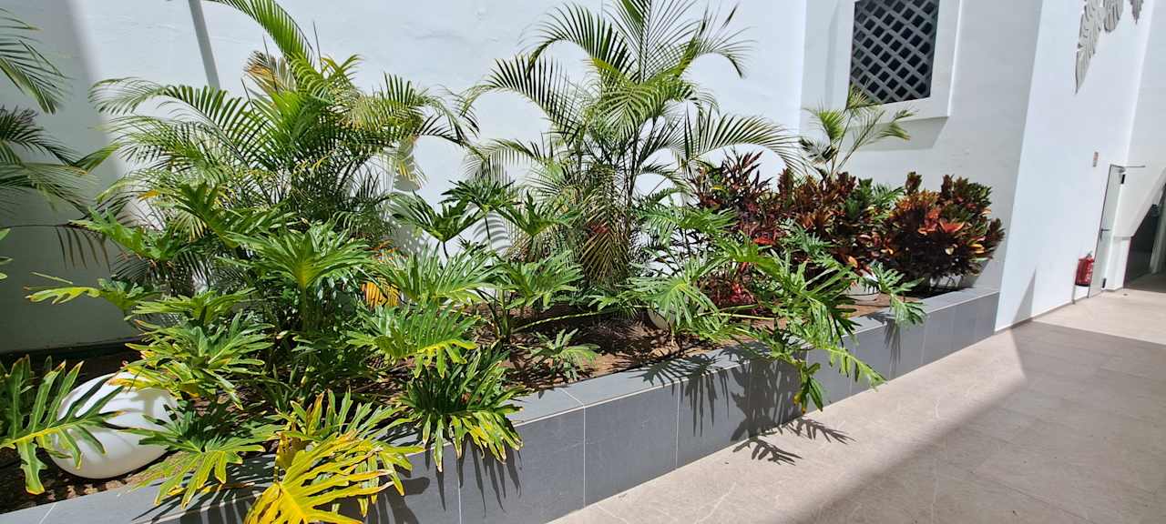 Gartenanlage Hotel Riu Gran Canaria