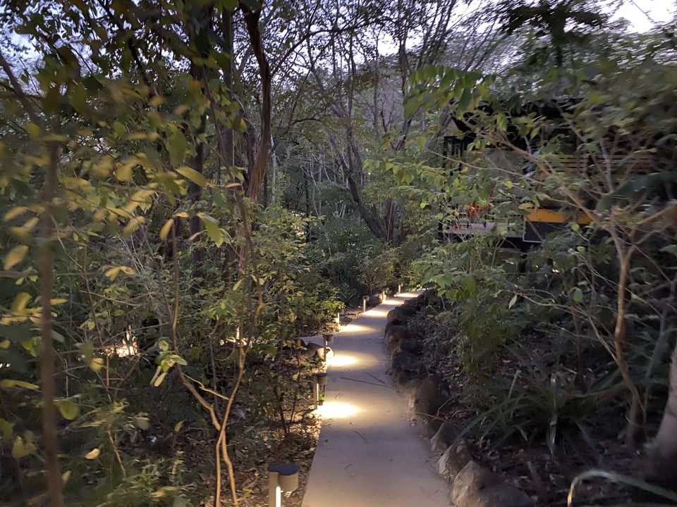 Gartenanlage Hotel Rio Perdido