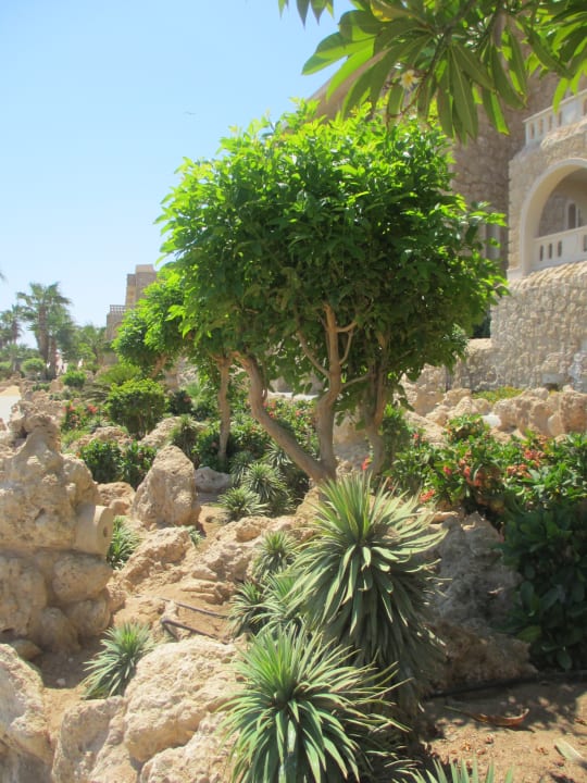 Außenansicht Pickalbatros Citadel Resort