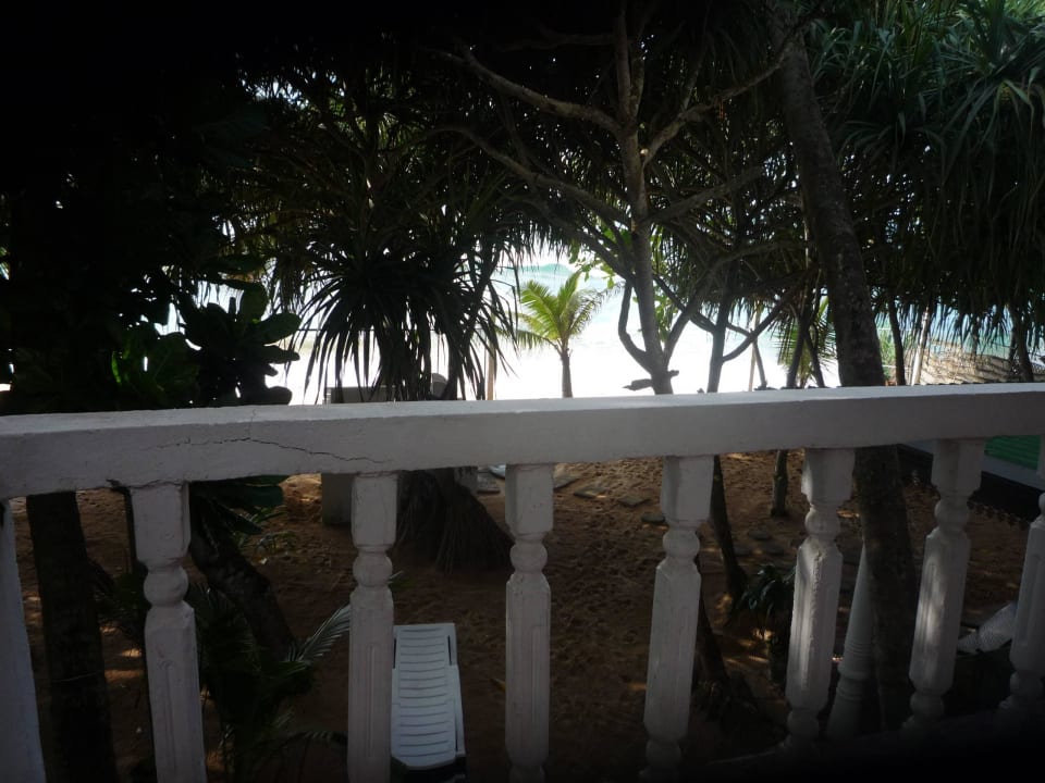 Aussicht vom 1. Stock Hotel Haus am Meer Wilde Ananas