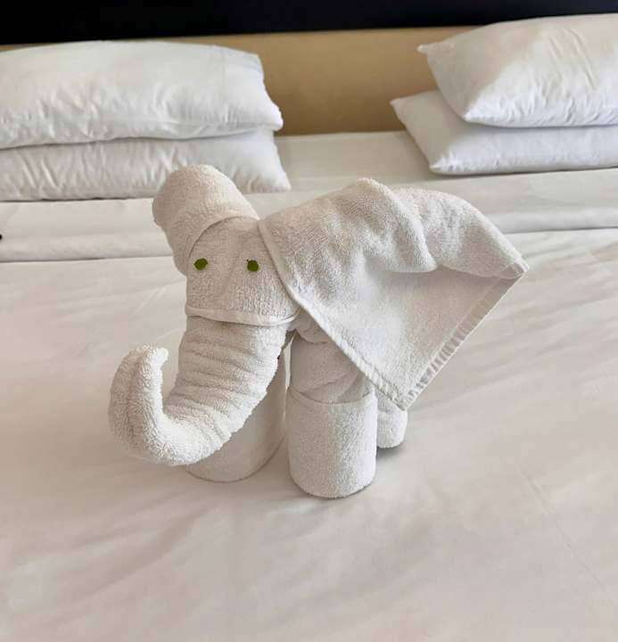 Sonstiges Thaala Bentota