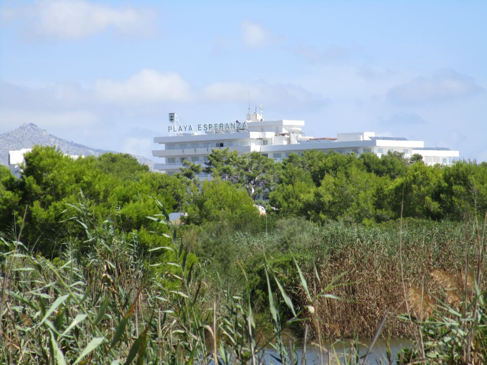 Hotel Esperanza Playa Playa Esperanza Resort
