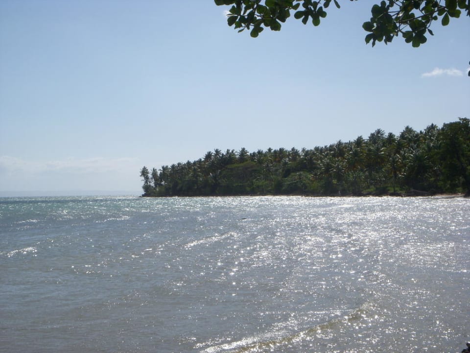 Bahia de los dioses samana dominican republic Beach Hotel Bahia De Los Dioses