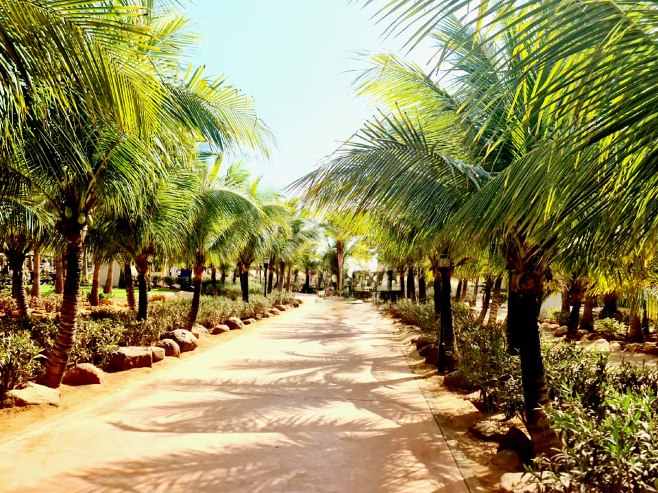 Gartenanlage Hotel Riu Touareg
