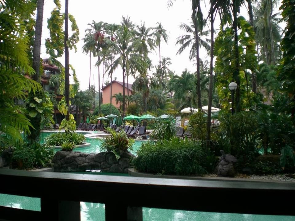 Hotel-Dschungel  Courtyard by Marriott Phuket, Patong Beach Resort