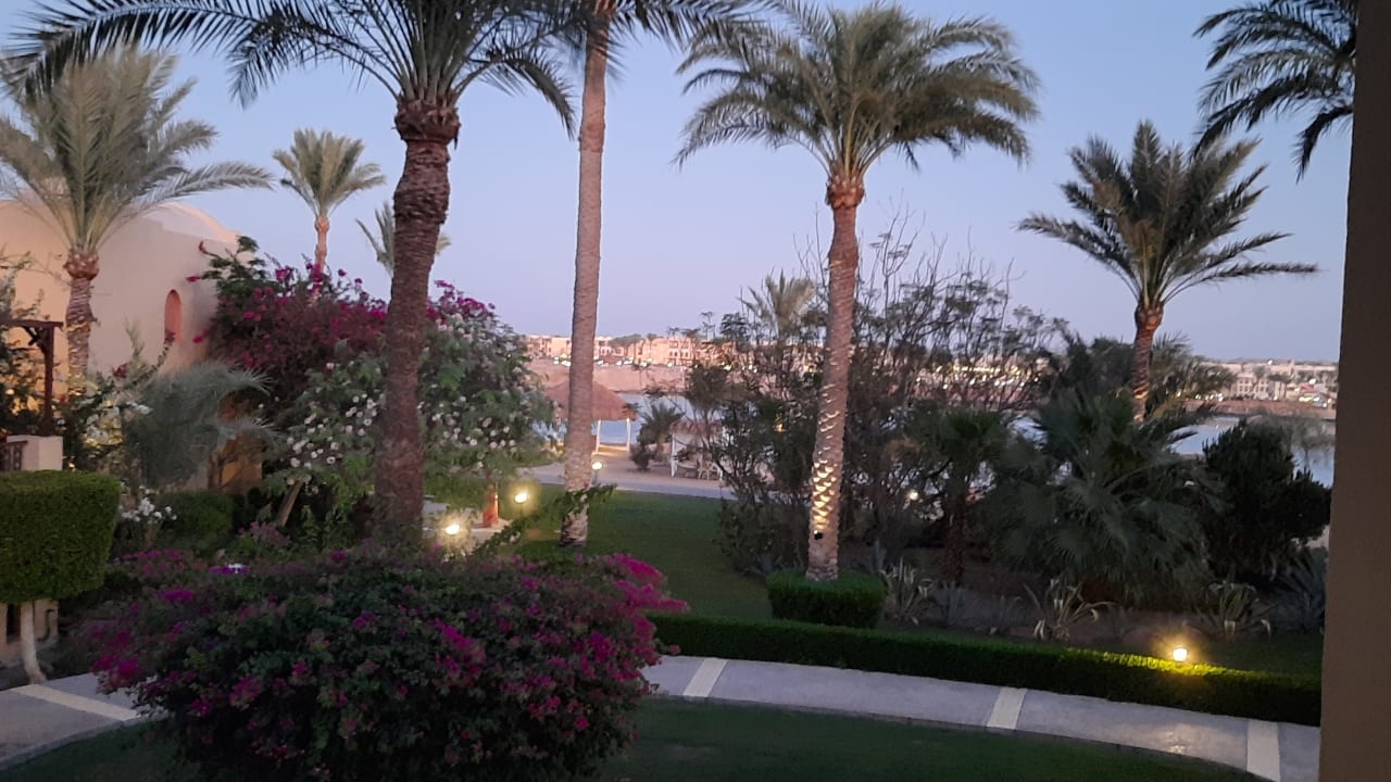 Gartenanlage Steigenberger Coraya Beach - Adults only