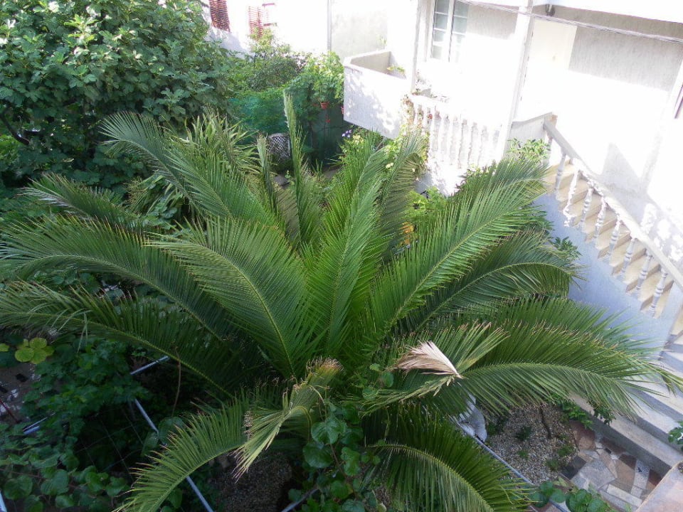 Garten Apartments Marinka