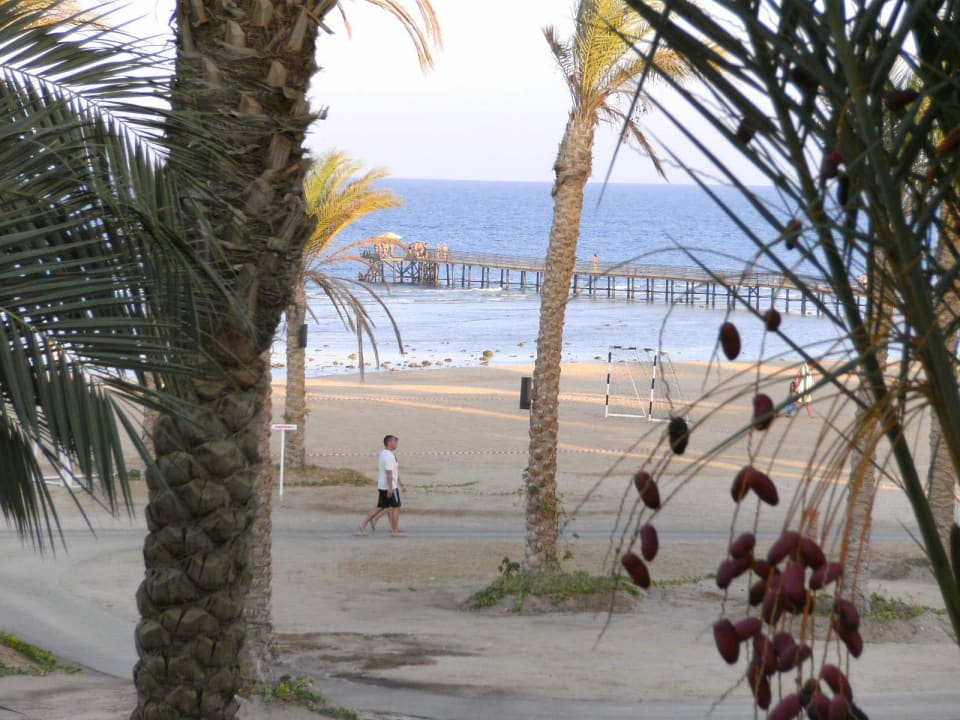 Steg zum Riff Pickalbatros Sands Hotel - Port Ghalib