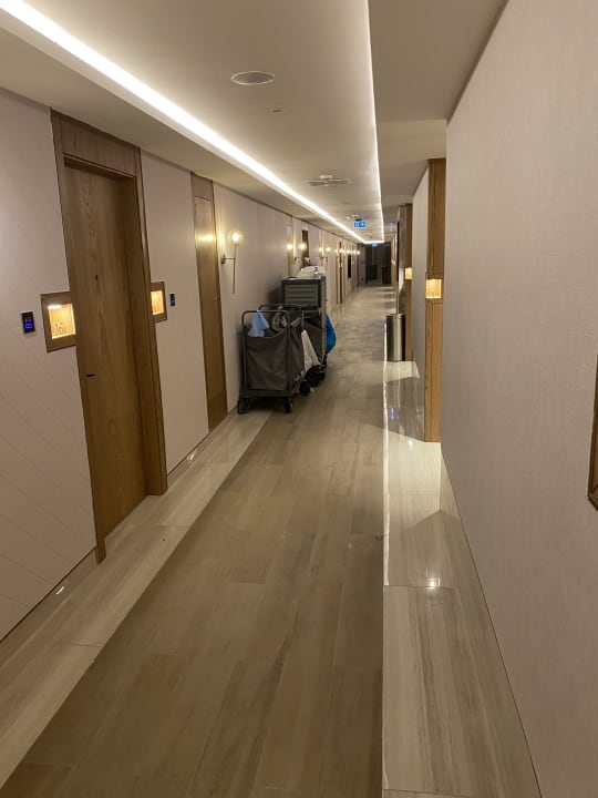 Zimmer Liberty Signa