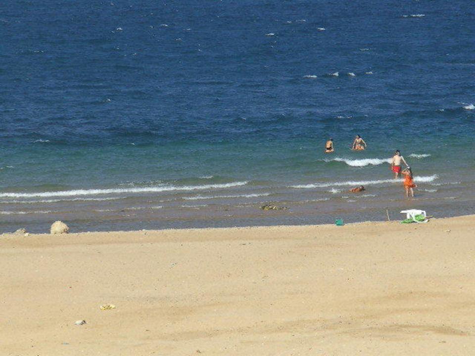Zimmeraussicht Beach Albatros Resort