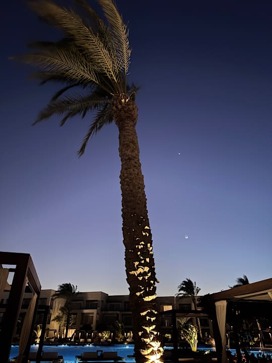 Gartenanlage Steigenberger Resort Ras Soma