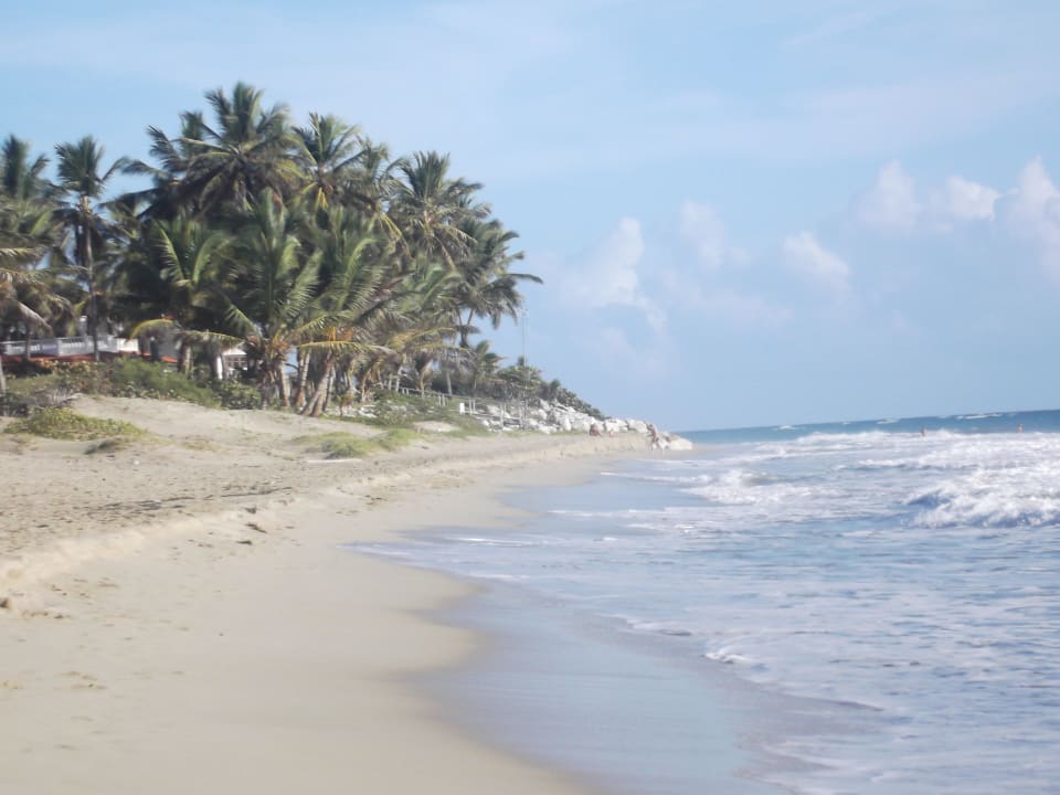 Strandspaziergang Viva Tangerine by Wyndham - All Inclusive Resort