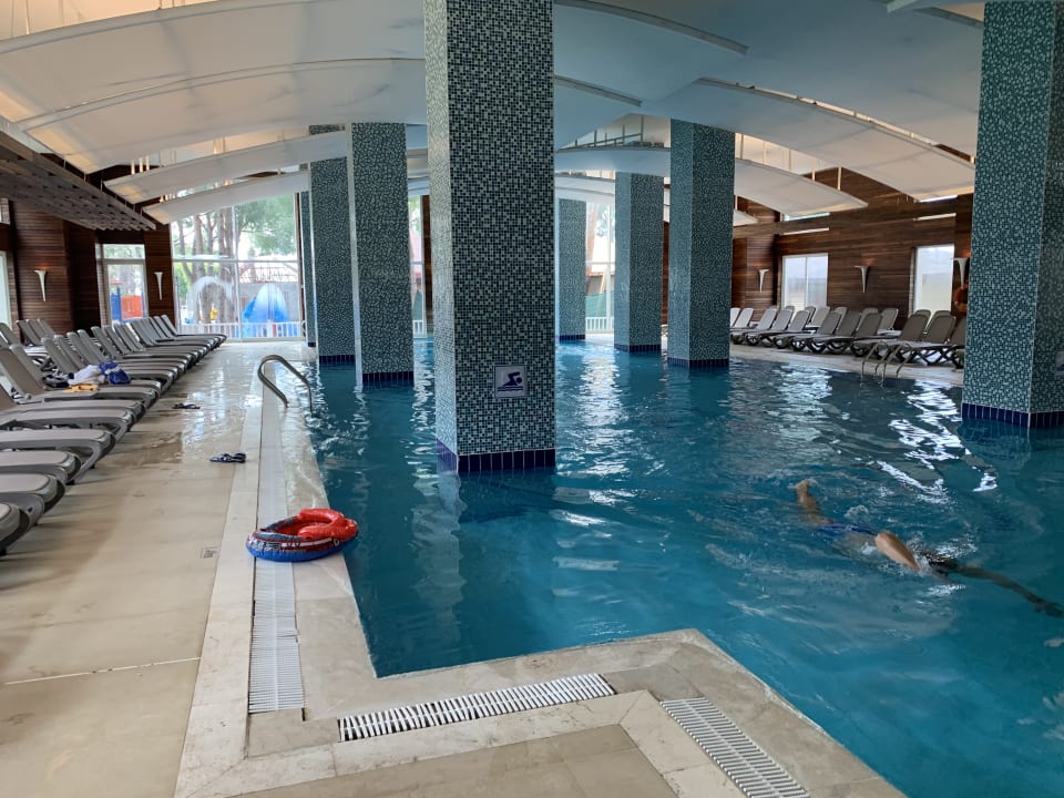 Pool Papillon Ayscha