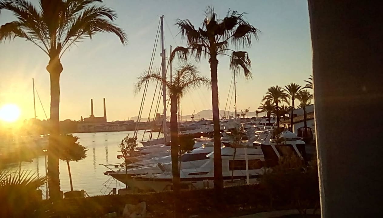 Doppelzimmer mit Blick zum Yachthafen Botel Alcudiamar