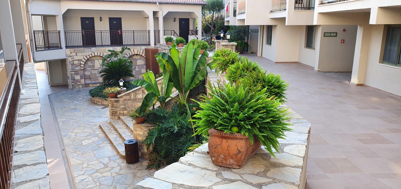 Sonstiges Arum Barut Collection