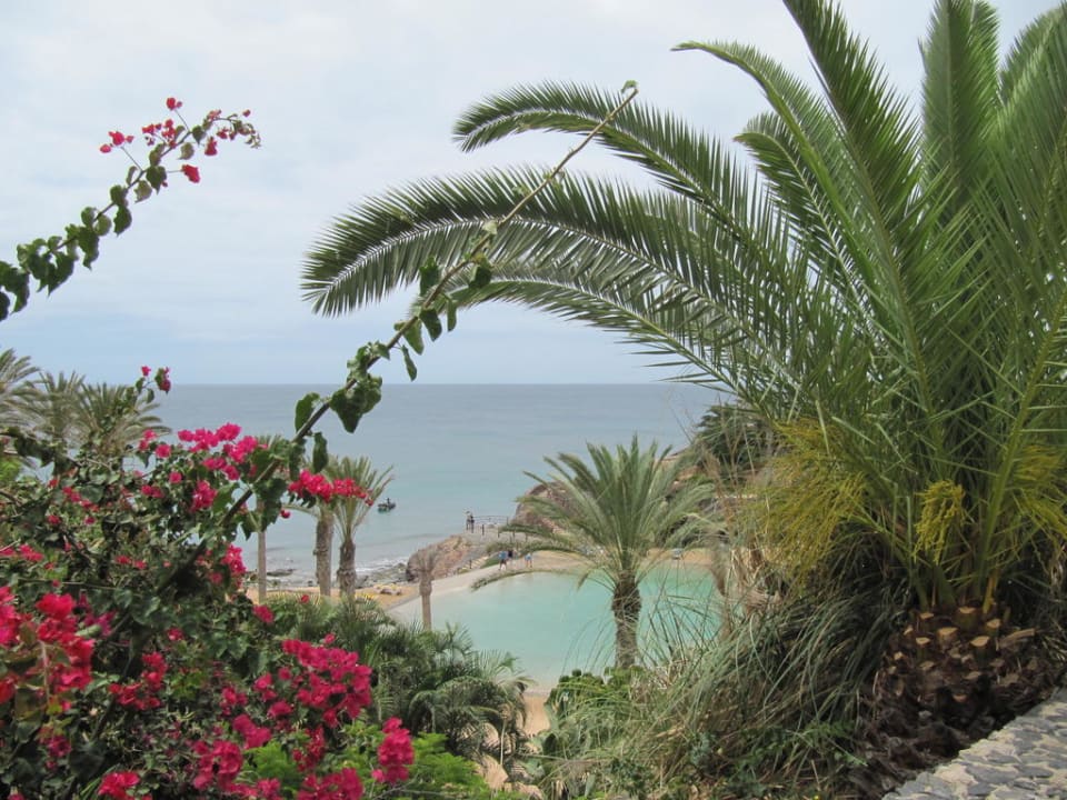 Aussicht auf Meerwasserlagune R2 Rio Calma Hotel & Spa & Conference