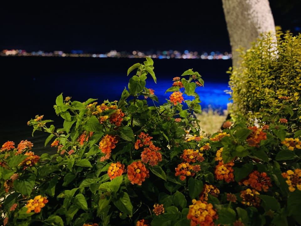 Ausblick Seaden Quality Resort & Spa