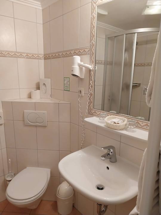 Zimmer Moselstern Hotel Brixiade & Triton