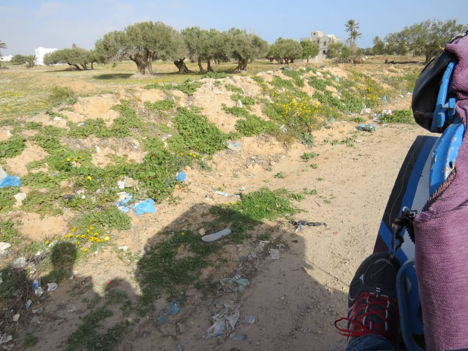 Die ganze Insel eine Mühlkippe Iberostar Waves Mehari Djerba