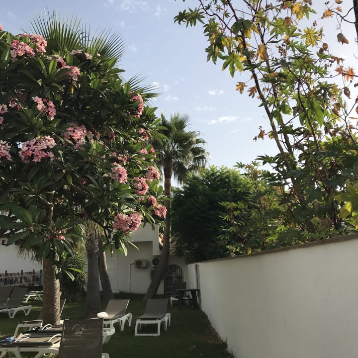 Gartenanlage Hotel Best Siroco