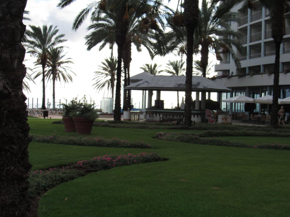 Gepflegte Gartenanlage Pestana Grand Ocean Resort