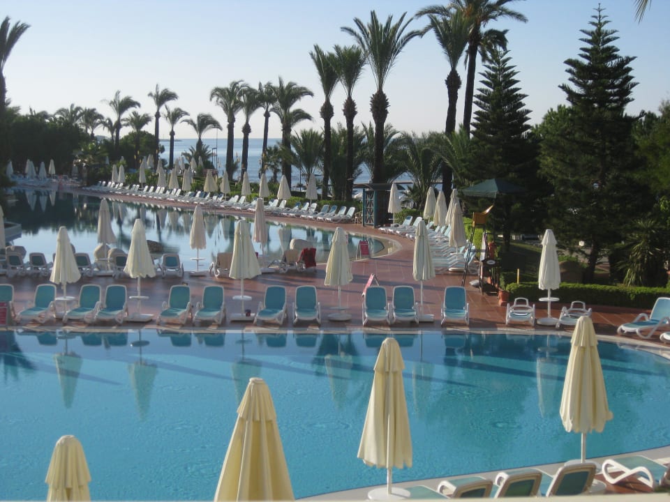 Am frühen Morgen PALOMA Perissia