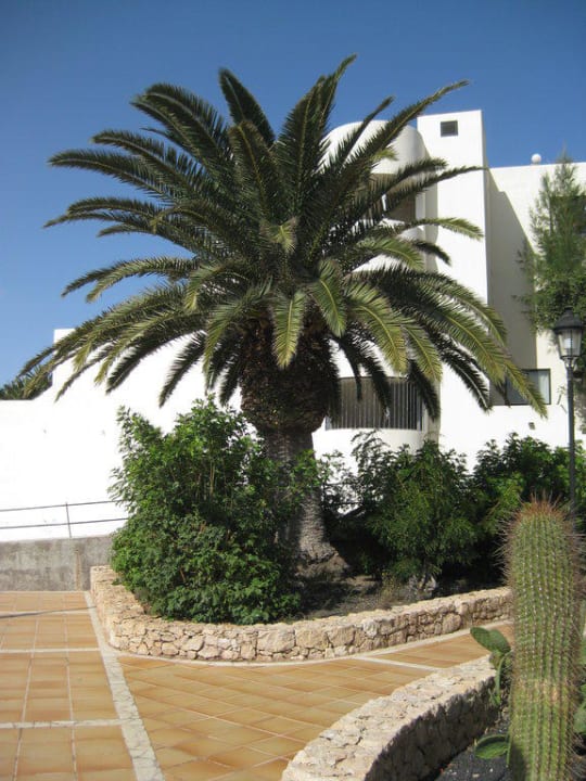 Gang zu Zimmern SBH Hotel Taro Beach