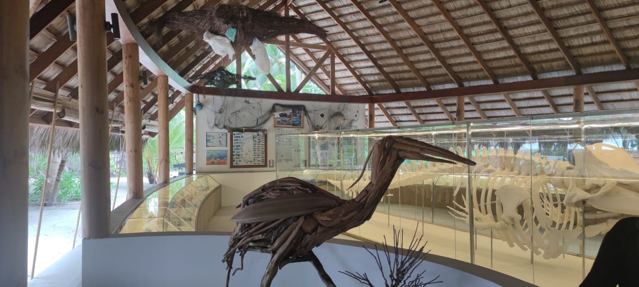 Sonstiges Kuramathi Maldives