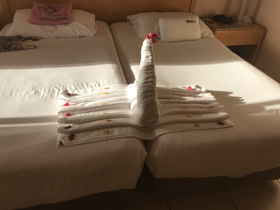 Zimmer Hotel JAZ Makadi Star & Spa