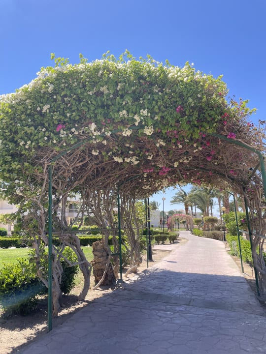 Gartenanlage Hurghada Long Beach Resort