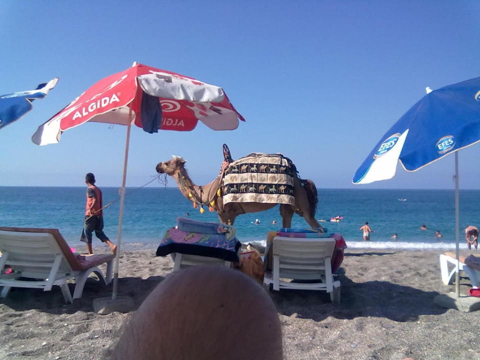 Das gibts hier auch  Doris Aytur Hotel