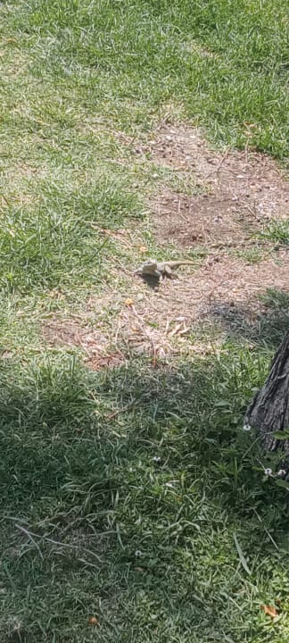 Gartenanlage Labranda Alantur Resort