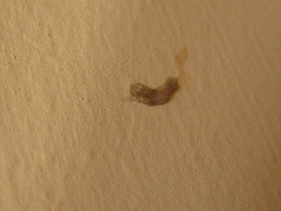 Alter Popel über dem Bett Bei Juan Playa Blanca