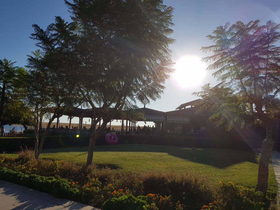 Strandbar Arcanus Hotels Sorgun