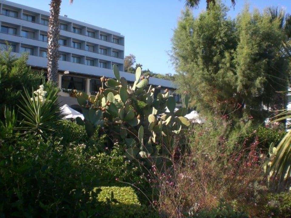 Hotel und Garten Grecotel LUXME Dama Dama