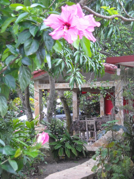 Im Gartenpavillon wird gegessen Hostel Los Sauces