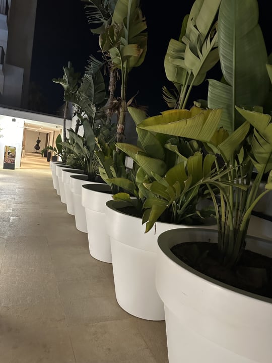 Außenansicht JS Palma Stay