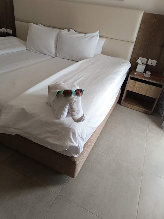 Zimmer Pickalbatros Laguna Club Resort